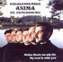 Picture for song 'God, i beg You' by artist 'Anima'