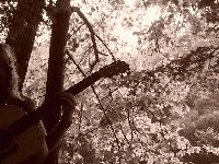 Picture for song 'heart of nothin' by artist 'Annie Pendleton'