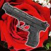 Picture for song 'War of the Roses' by artist 'Anomaly'