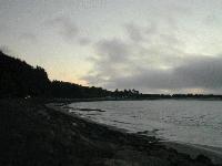 Picture for song 'Coming Up The Drive' by artist 'Anthony L Smith'