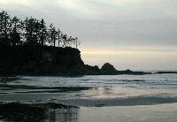 Picture for song 'Completely Insane' by artist 'Anthony L Smith'