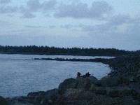 Picture for song 'Eye Want U' by artist 'Anthony L Smith'