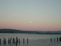 Picture for song 'Here With Me' by artist 'Anthony L Smith'