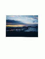 Picture for song 'Insomnia' by artist 'Anthony L Smith'