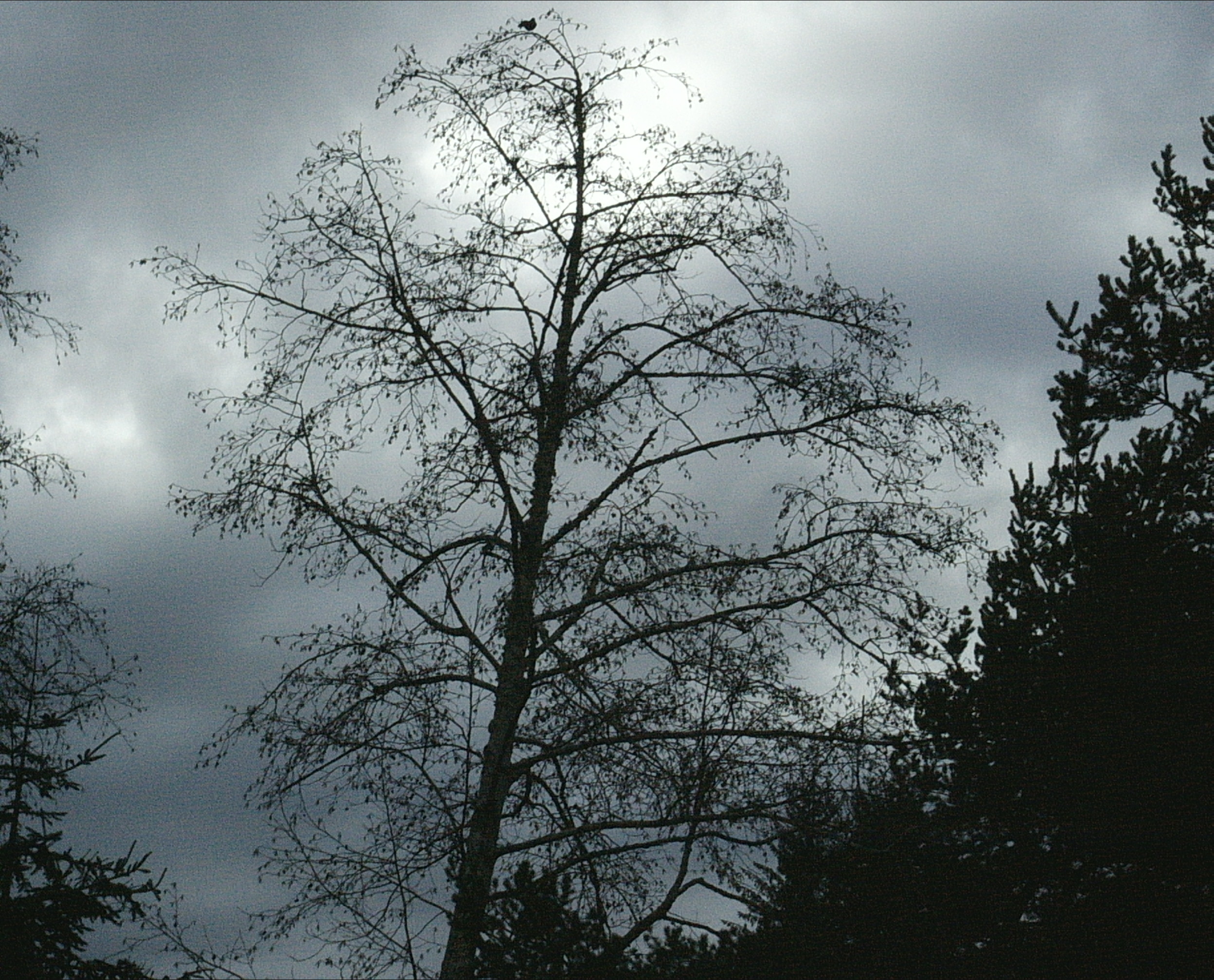 Picture for song 'Over You' by artist 'Anthony L Smith'