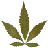 Picture for song 'Ganja Culture' by artist 'Antibody Music (SA)'