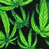 Picture for song 'Mystic Grooves' by artist 'Antibody Music (SA)'