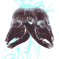 Picture for song 'Menaced by Instance' by artist 'antibody (NZ)'