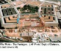 Picture for song 'The Cheeseburger King' by artist 'Anti-Culture'