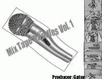 Picture for song 'Mix Tape Vandals Vol 1- Gator plays' by artist 'A.O'