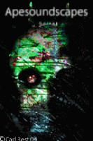 Picture for song 'Pandemic Contention' by artist 'Apesoundscapes'