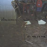 Picture for song 'Punk Funk' by artist 'AP Funkanomics'