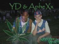 Picture for song 'YOUNG' by artist 'Aphexx and YD'