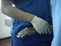 Picture for song 'NekroseX' by artist 'arcana-droid'