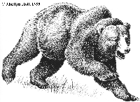 Picture for song 'Hit The Ground Running' by artist 'ARCHREALM'