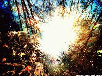 Picture for song 'One Way' by artist 'ARCHREALM'