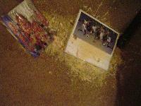 Picture for song 'death is so hot right now' by artist 'area66'