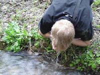 Picture for song 'the complex house' by artist 'area66'