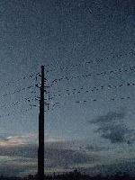 Picture for song 'the echo that died of a broken heart' by artist 'area66'