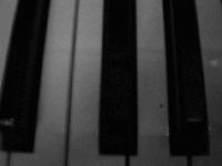 Picture for song 'the way a dead person looks in the mirror' by artist 'area66'