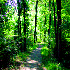 Picture for song 'Dreaming of You (Ayla instrumental)' by artist 'Arktika'