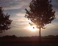 Picture for song 'Father' by artist 'Armandox'