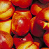 Picture for song 'In The Nectarine Jungle' by artist 'arnocamel'