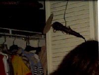 Picture for song 'The Circle feat P Deluxxe' by artist 'Ars D N Ex'