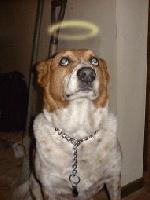 Picture for song 'Trilogy for a Friend' by artist 'ArtfulSpider'