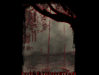 Picture for song 'Line of the Night (acoustic)' by artist 'A Sense Of Belonging'