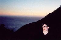 Picture for song 'Tree' by artist 'A Series of Clicks and Beeps'