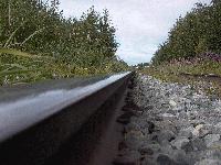 Picture for song 'brainwashed' by artist 'A Shogun Named Id'