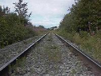 Picture for song 'dead inside out' by artist 'A Shogun Named Id'