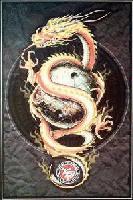 Picture for song 'Soul Shatterer' by artist 'Asiatic Dragon'