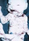 Picture for song 'No One Sleeps' by artist 'A Sleeping Irony'