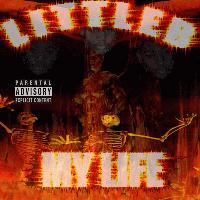 Picture for song 'Drop Dem Haterz Remix UNFINISHED' by artist 'AssasinNation'