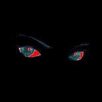 Picture for song 'assasynz' by artist 'assasyn recordz'