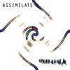 Picture for song 'Children of God' by artist 'Assimilate'