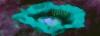 Picture for song 'habitual something-' by artist 'aster'