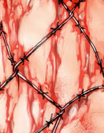 Picture for song 'AnKou' by artist 'Astos'