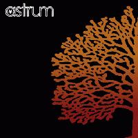 Picture for song 'Doubt' by artist 'Astrum'