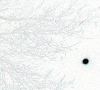 Picture for song 'Acoustic' by artist 'A Tear In The Fabric'