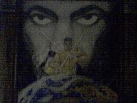 Picture for song 'We Untame' by artist 'ATF Compilaltion Album'