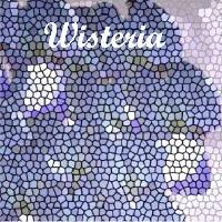 Picture for song 'Wisteria' by artist 'Athabaxtra'