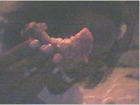 Picture for song 'Rock-Ness Monstuh' by artist 'Atlaz Real'