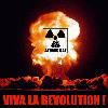 Picture for song 'Viva la Revolution!!' by artist 'Atomic cat'