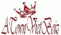 Picture for song 'son ft. thanh - rep cha city' by artist 'ATownViEtBoiz'