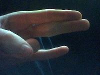 Picture for song 'The Guf (Librarian Dance remix!)' by artist 'attackthewhack'