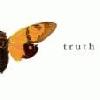 Picture for song 'Truth' by artist 'attic base'