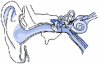 Picture for song 'sinker' by artist 'attu29a'